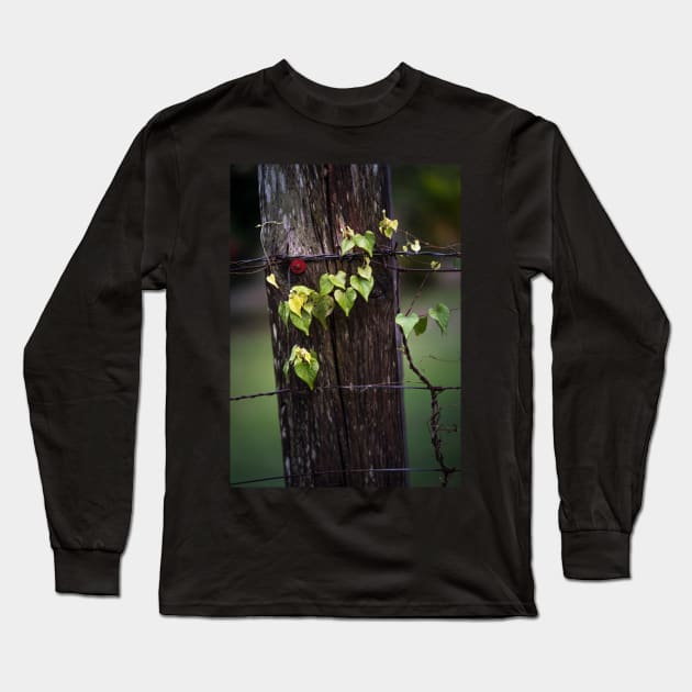 Fence Long Sleeve T-Shirt by EviRadauscher